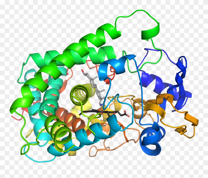 View Entryadd To My Images - Cool Enzymes Clipart