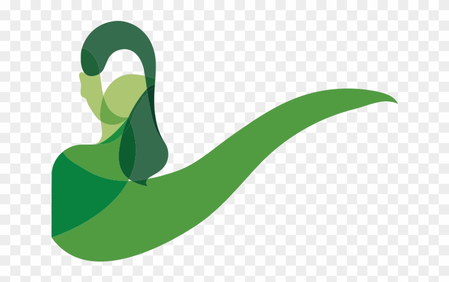 A Female Head Of State Increased From 8 In 2005 To Clipart