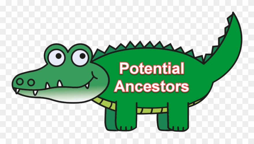 Dnaexplained Genetic Genealogy - Transparent Background Alligator Clipart - Png Download