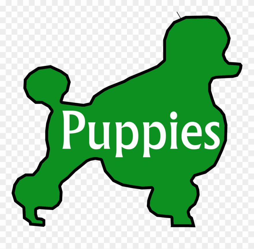 Available Litters - Goldendoodles Clipart