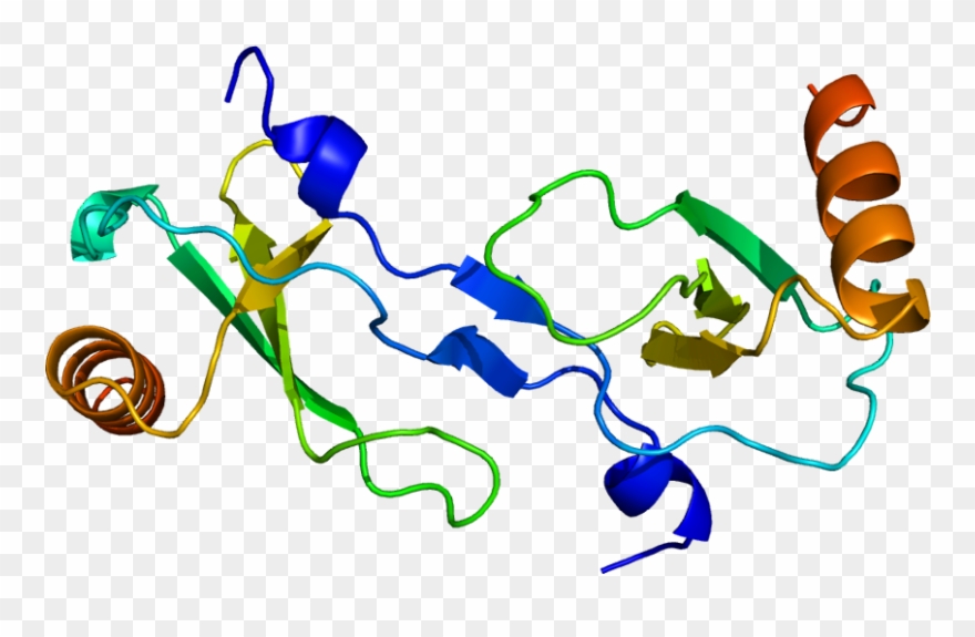 Mcp 1 Protein Clipart