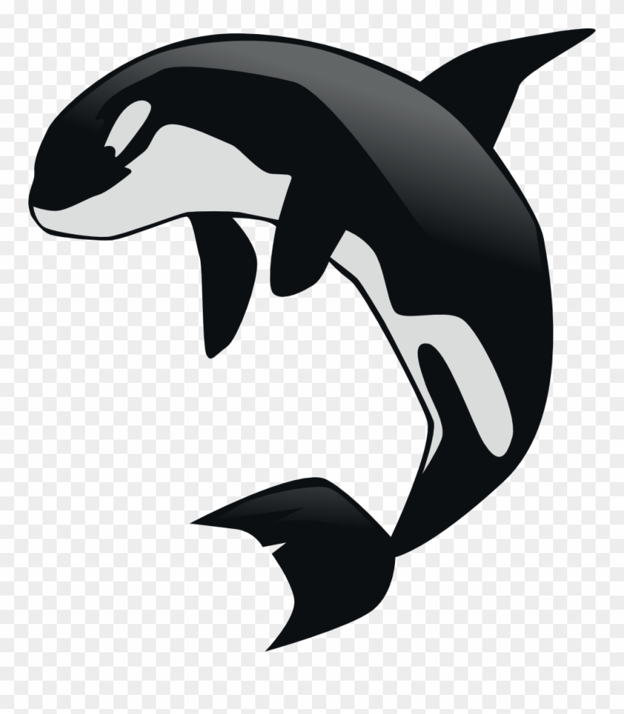 Gnustep Orca Contrasts - Killer Whale Clipart Png Transparent Png