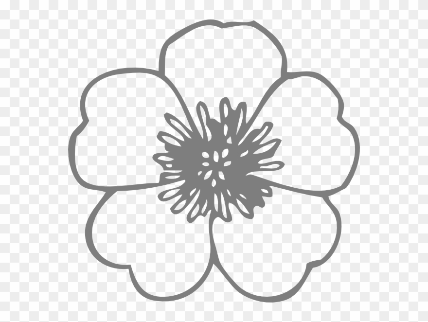 Poppy Clip Art Black And White - Png Download
