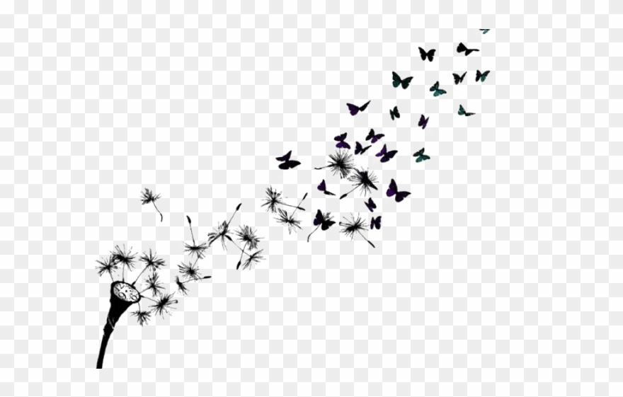 Drawn Dandelion Bird - Dandelion And Butterfly Tattoos Clipart