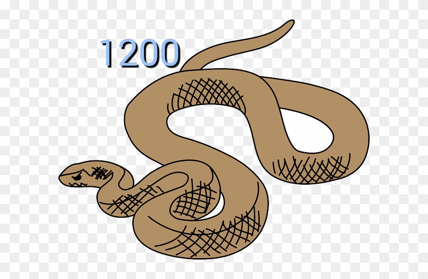 Rattlesnake Clipart Australian Snake - Brown Tree Snake Clipart - Png Download