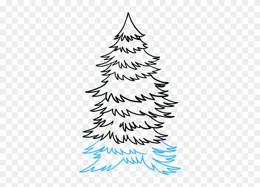 680 X 678 1 - Draw Spruce Clipart