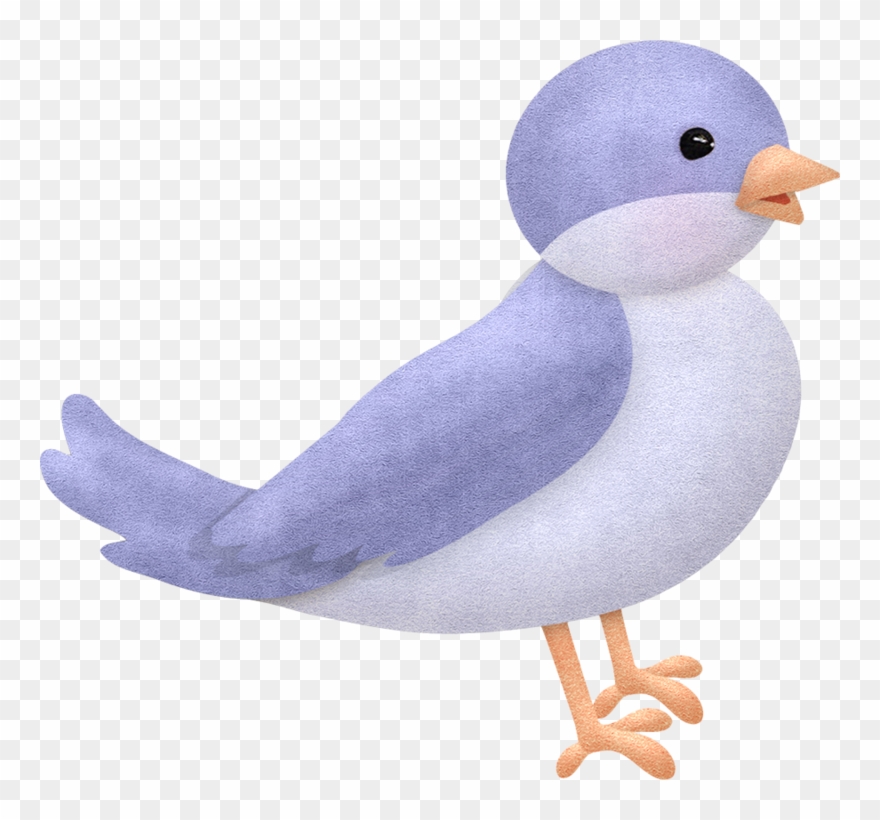 Bird Clipart