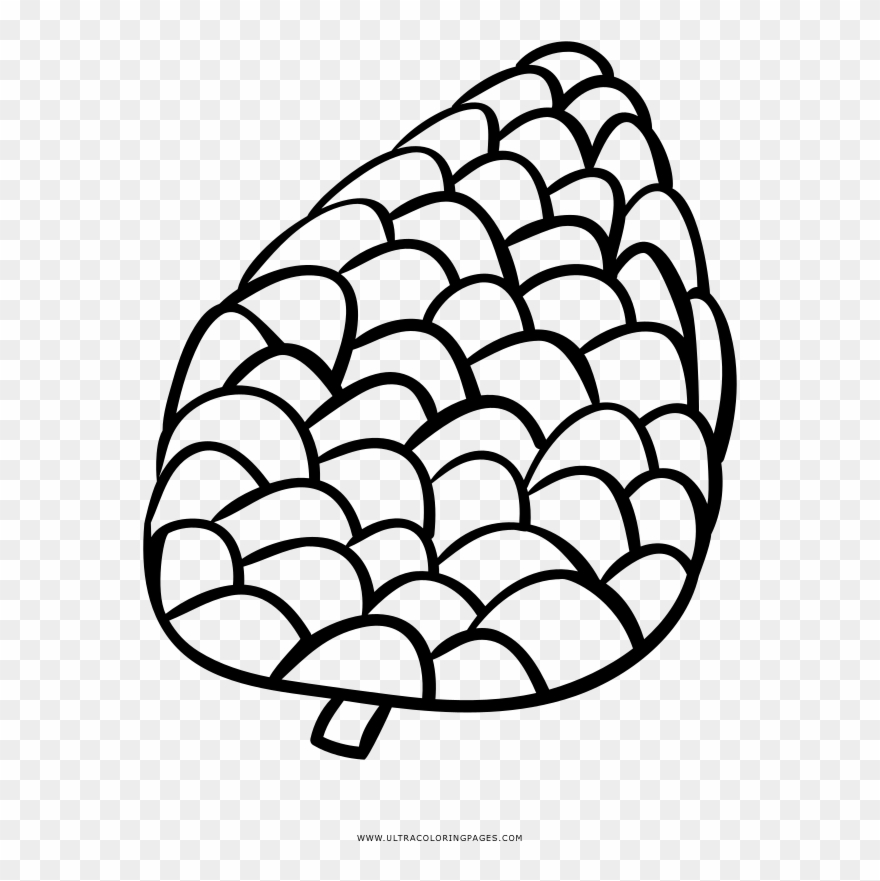 Pine Cone Coloring Page - Line Art Clipart