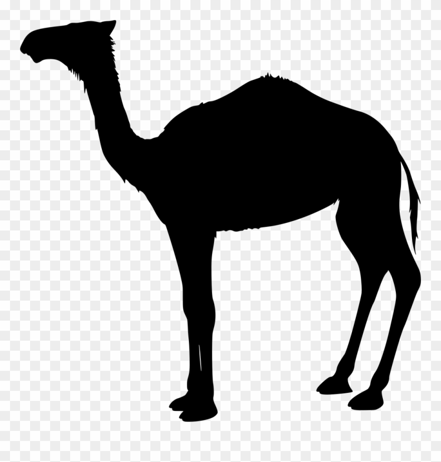 Download Png - Camel Clip Art Transparent Png