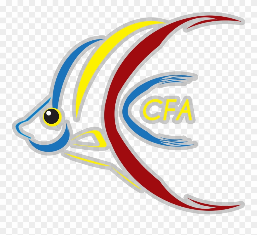 Graphic Design Clipart