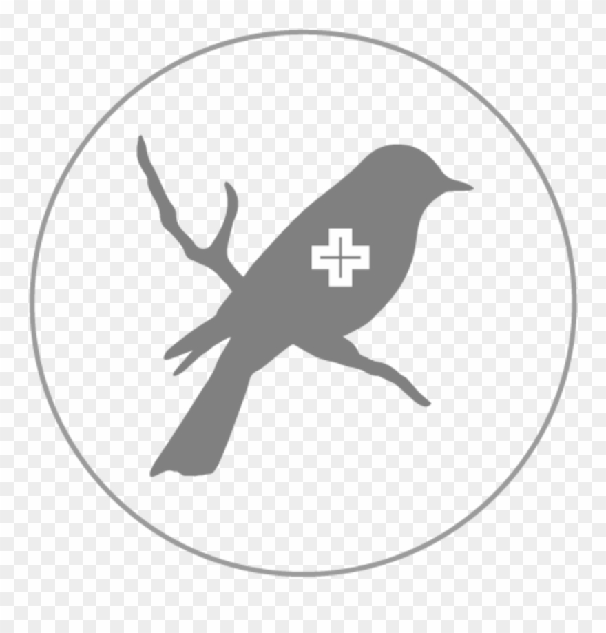 Mockingbird Plus Say Hacks Png Mockingbird Stencil - Colourful Cross Stitch Patterns Clipart