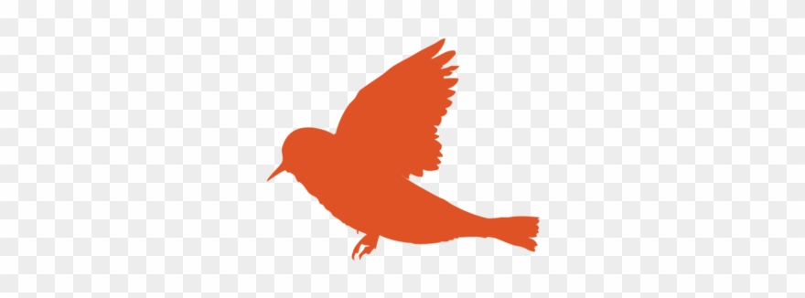 Illustration For Carter Sampson Album Clipart