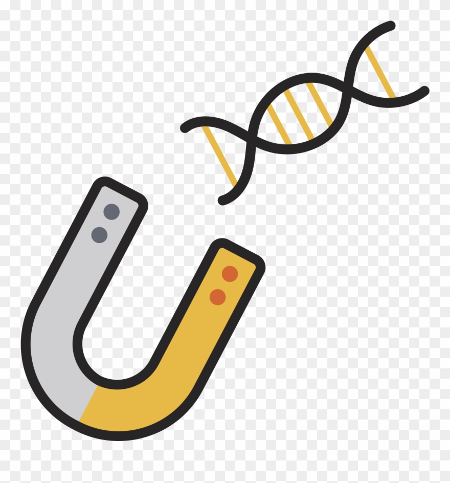 Nucleic Acid Isolation Clipart
