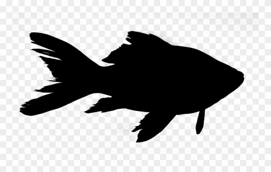 Friday Night Fish Fry - Fish Silhouette Png Clipart