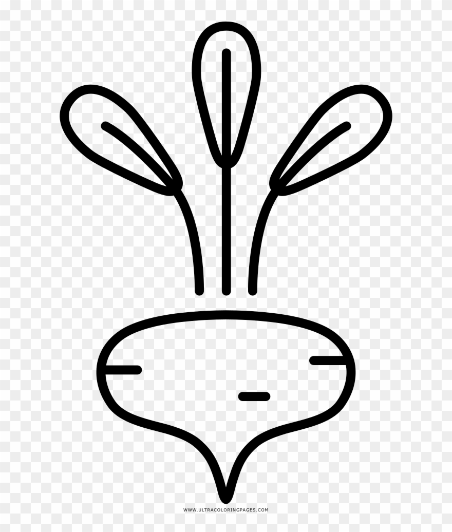 Beet Coloring Page - Line Art Clipart