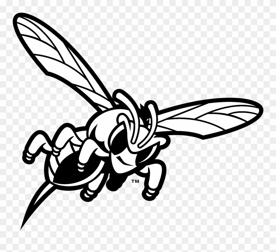 Delaware State Hornets Logo Black And White - Delaware State University Hornets Logo Clipart