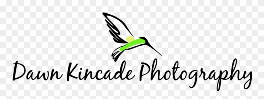 Dawn Bird Logo Horizontal Format=1500w Clipart