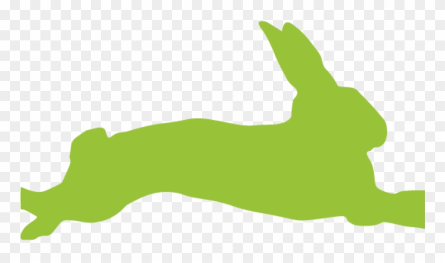 Hare-1200x675 Clipart