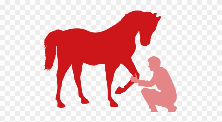 Cosmetics - Stallion Clipart