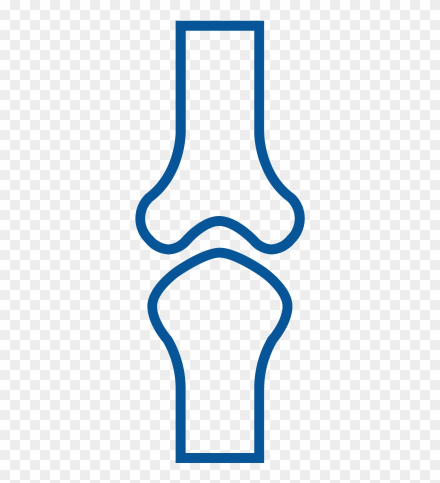 Bone Density Clipart