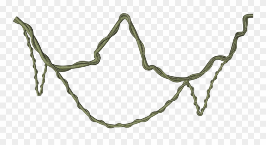 15 Jungle Vine Png For Free Download On Mbtskoudsalg - Jungle Vines Png Transparent Clipart