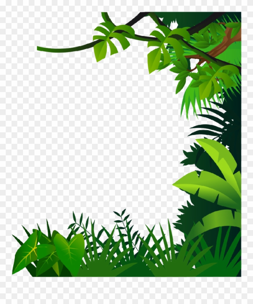 Jungle Frame Clipart - Png Download