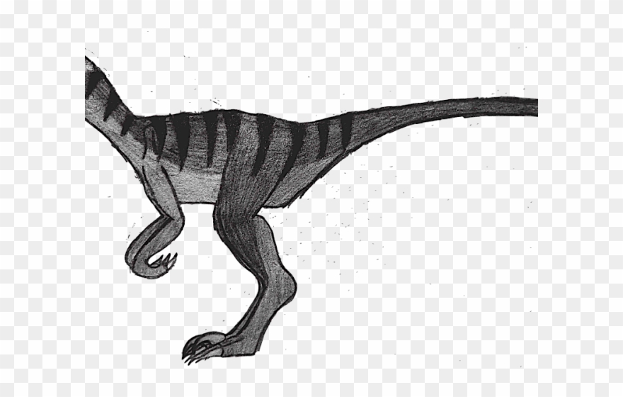 Velociraptor Clipart Black And White - Clip Art - Png Download