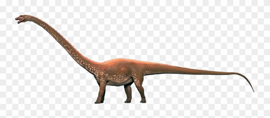 Diplodocus Transparent Background - Diplodocus Png Clipart