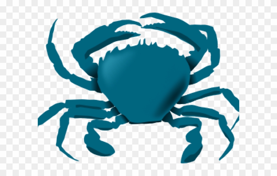 Crab Clipart Color - Animals Live In The Water - Png Download