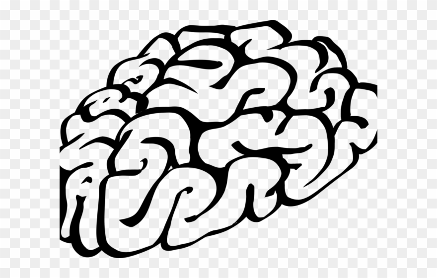 Drawn Brains Animated - Brain Clipart Black And White - Png Download