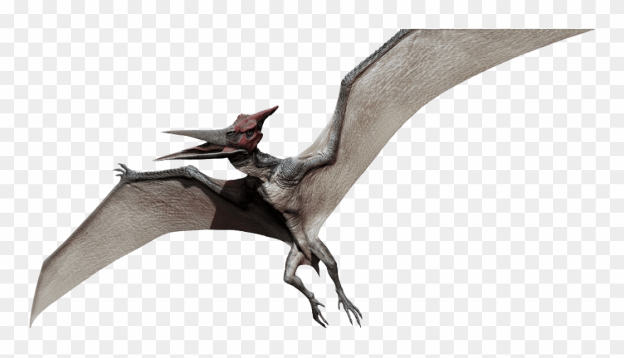 Pteranodon - Jurassic Park Pteranodon Clipart
