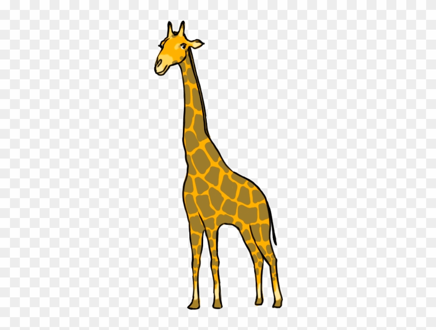 600 X 600 1 - Giraffe Clipart