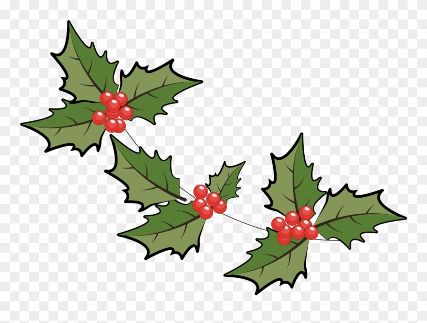 圣诞节手绘创意植物装饰叶子- Cartoon - Flower Clipart