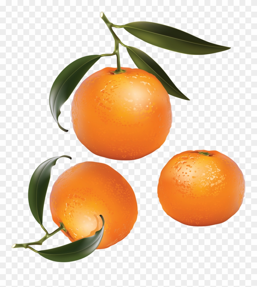 Oranges Clip Art , Png Download Transparent Png