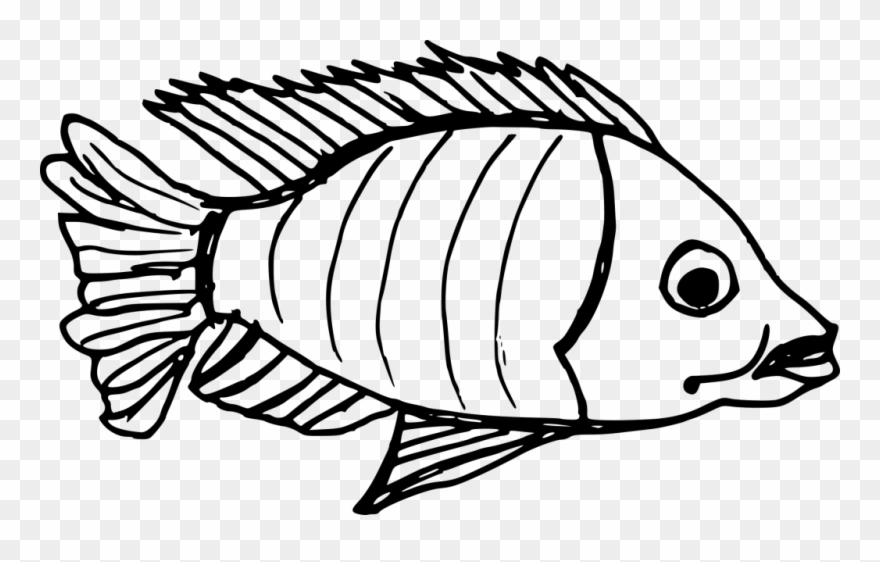 Png File Size Clipart