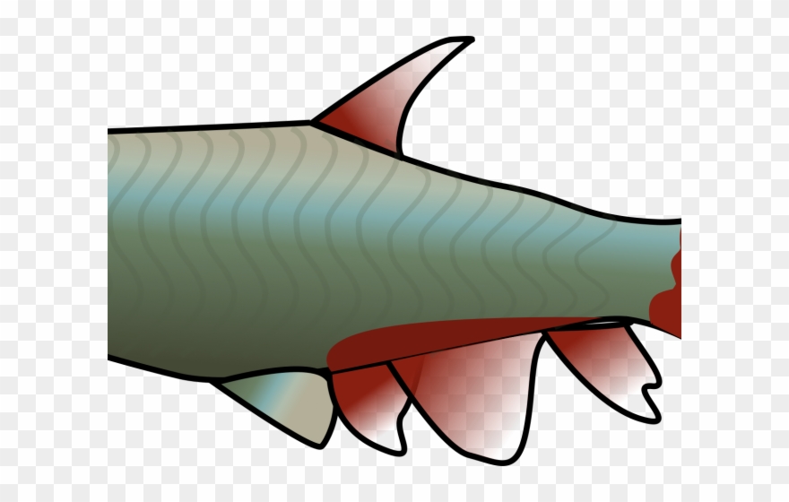 Salmon Clipart Tiny Fish - Clip Art - Png Download
