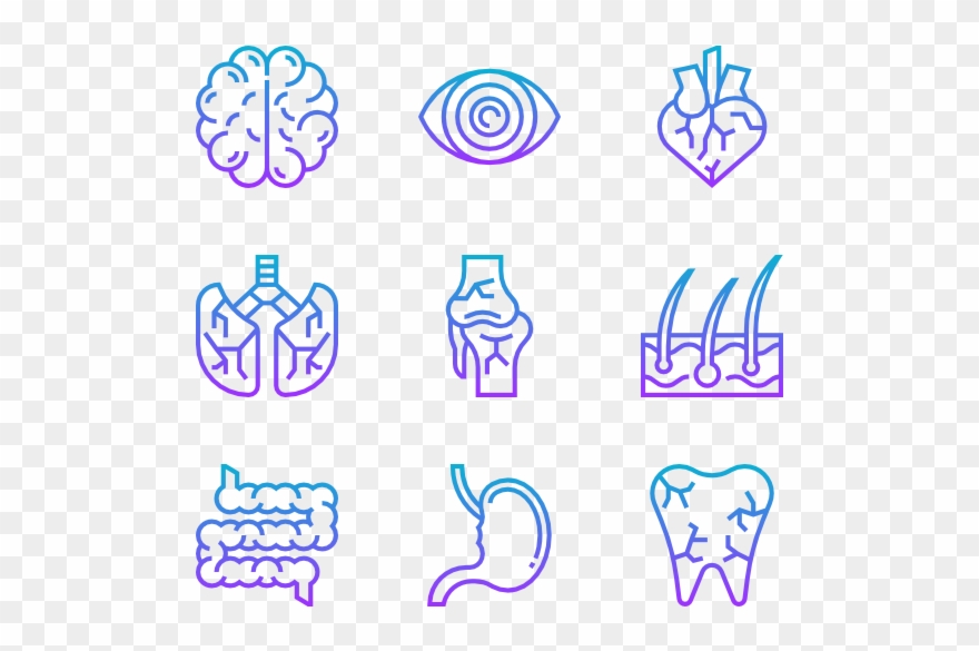 Human Organs Clipart