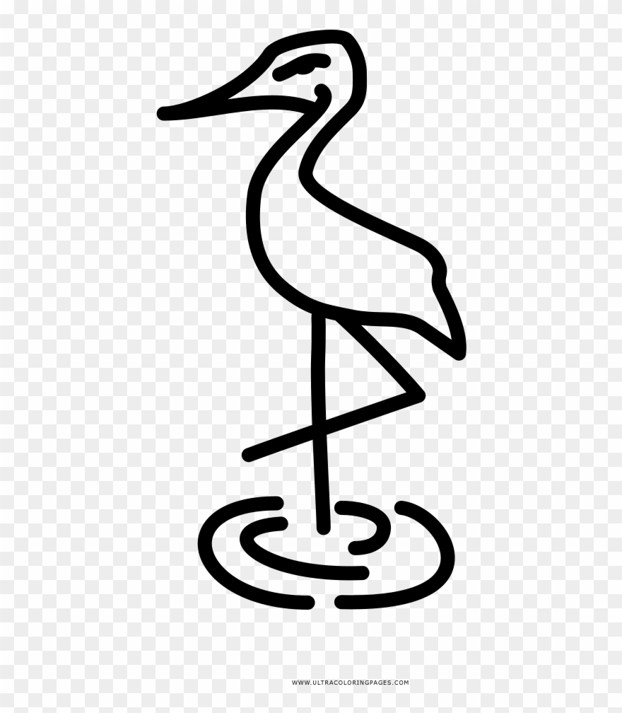 Flamingo Coloring Page - Water Bird Clipart