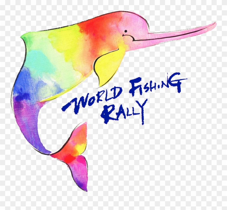 Great Amazon World Fishing Rally - Hummingbird Clipart
