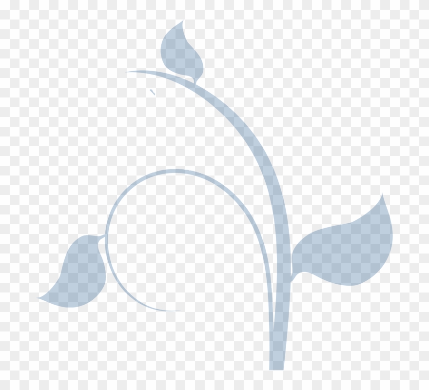 Ornamental Clipart Vine Branch - Flower Vine Clip Art - Png Download