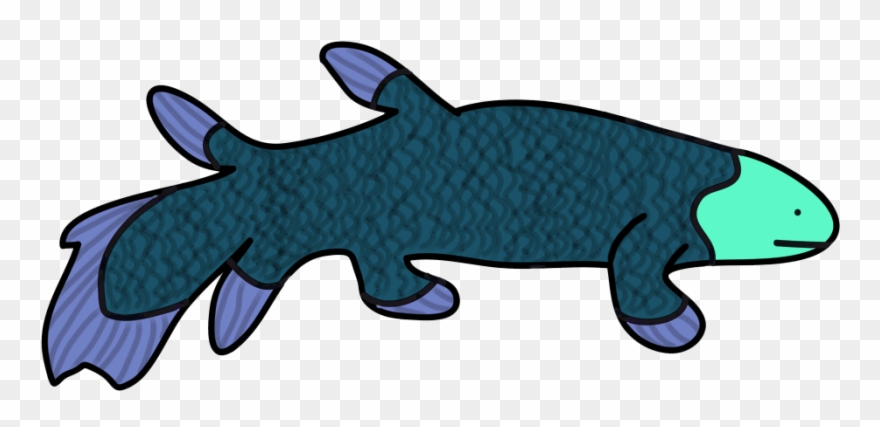 Amateurish Coelacanth - Shark Clipart