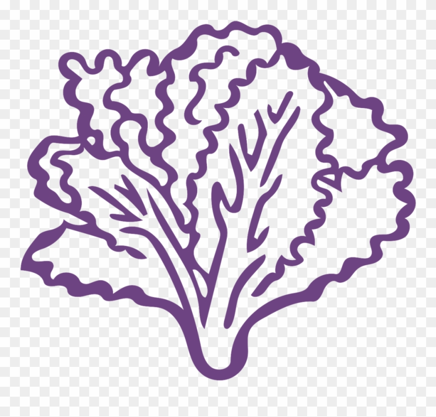 Noun Kale 1026519 6e4482 - Lechuga En Imagen Blanco Y Negro Clipart