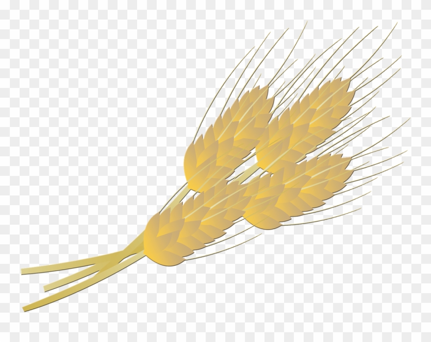 Wheat Bread Farm - Wheat Clipart