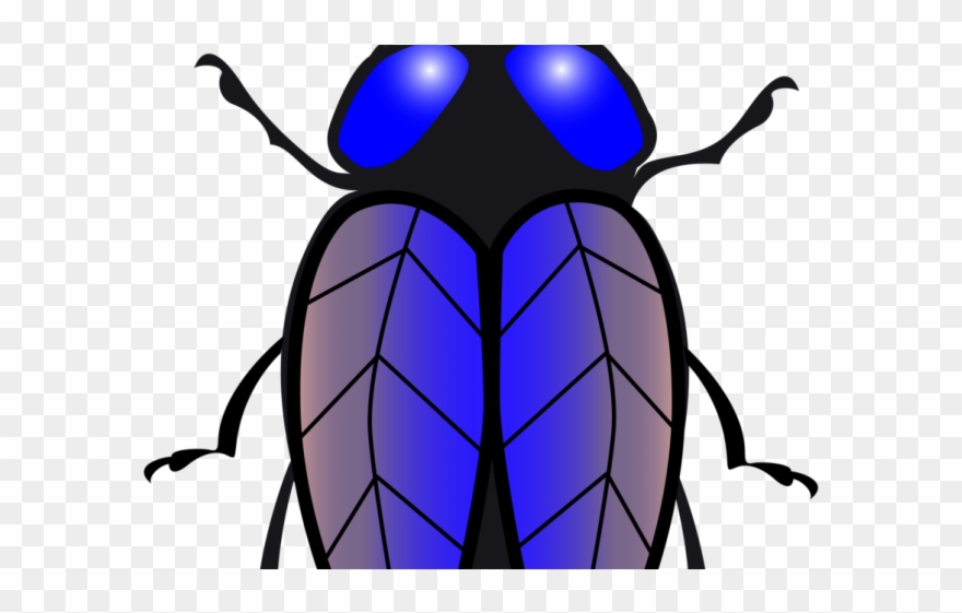 Fly Clipart Beetle - Lalat Vektor Png Transparent Png