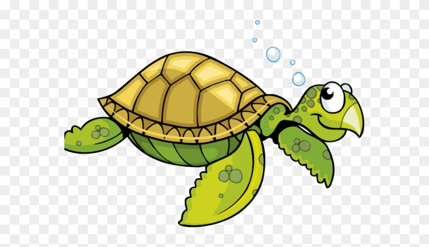 Sea Turtle Clipart Face - Green Sea Turtle Cartoon - Png Download