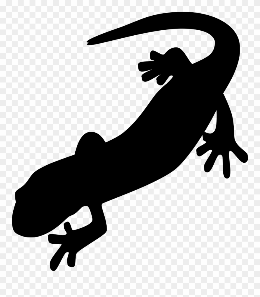 930 X 1024 1 - Salamander Clip Art - Png Download