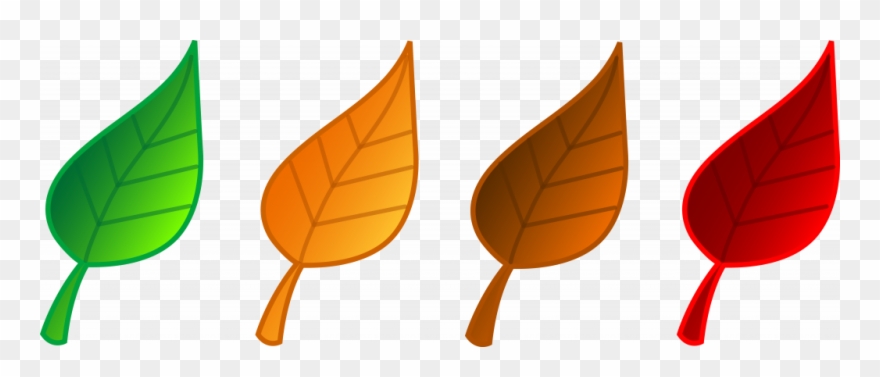 Colored Leaves Clip Art - Png Download (#3681690) - PinClipart