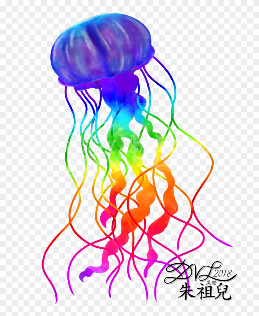 774 X 1032 1 - Jellyfish Clipart