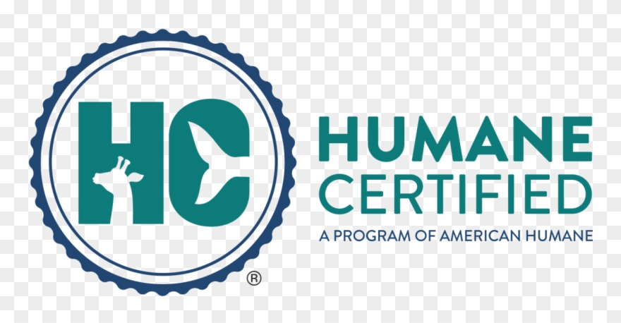 Privacy Policy, Contact Us And Career Opportunities - Thanksgiving Live In Dome Clipart