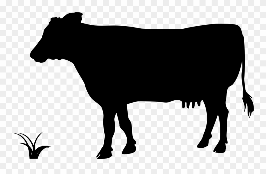 Download Png - Cattle Branding Clipart Transparent Png